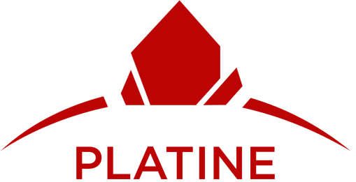 Niveau Platine RE/MAX